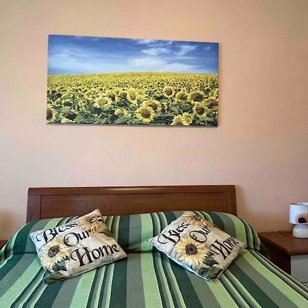 Bed and Breakfast Vicino A Tutto Vercelli Zewnętrze zdjęcie